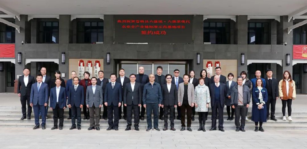 打响新年第一炮|铸垠集团总投资20亿元打造苍梧县六堡镇·六堡茶现代农业全产业链标准示范基地项目签约仪式举行