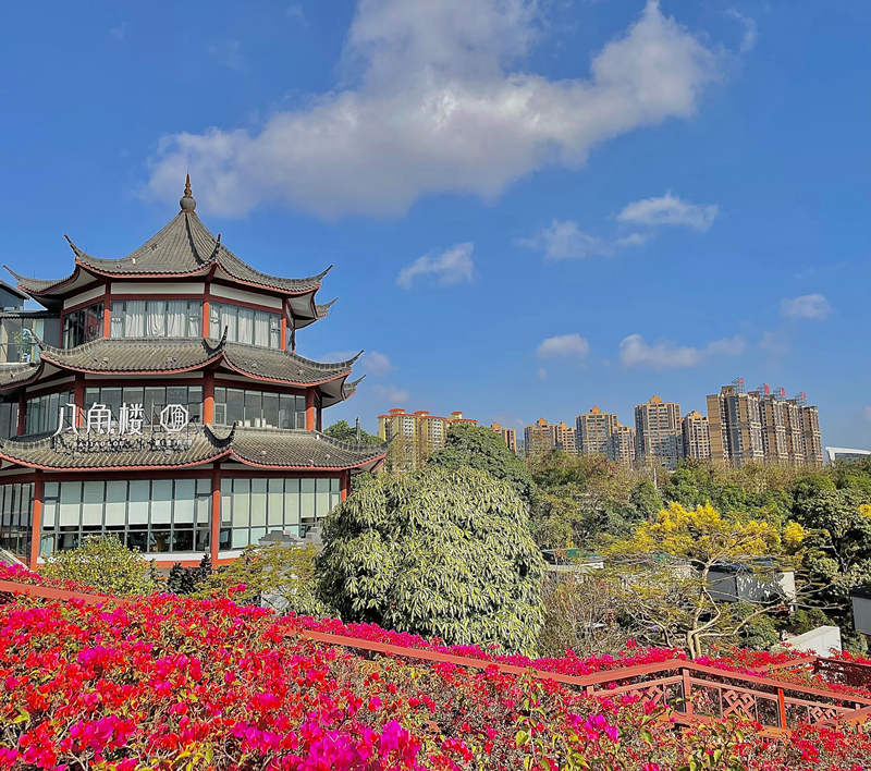 花开如意坊