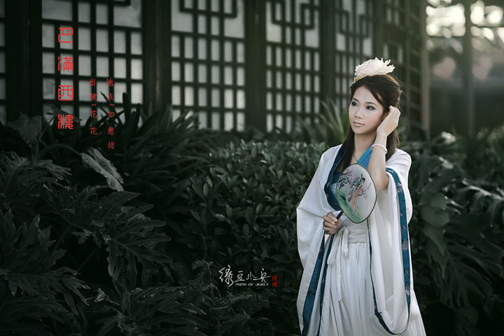网友摄影作品独上西楼